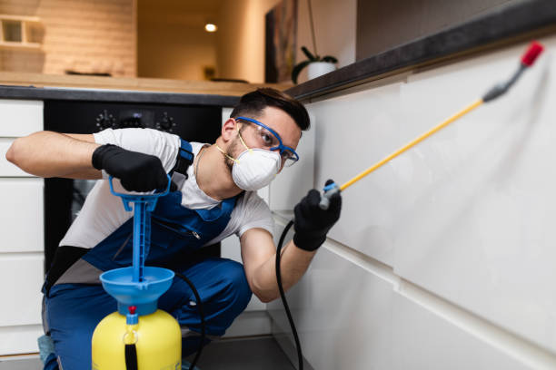 Best Affordable Pest Control Services  in Winnebago, IL