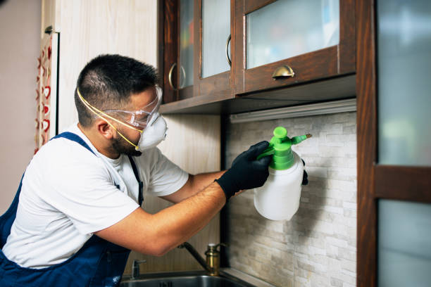 Best Flea Control Services  in Winnebago, IL