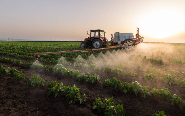 Pest Control for Restaurants in Winnebago, IL