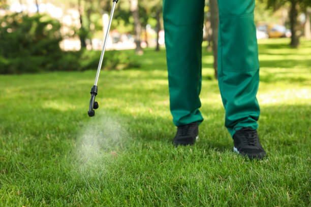 Best Emergency Pest Control  in Winnebago, IL