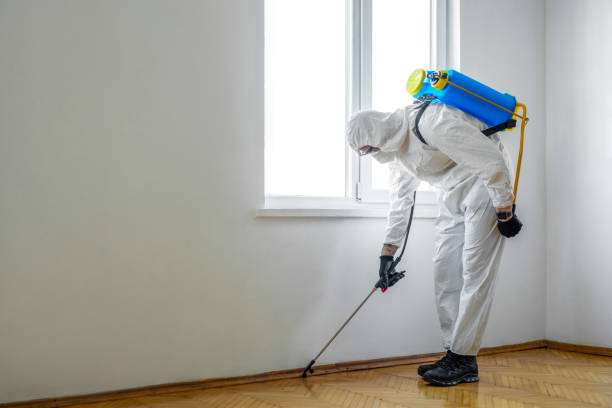 Reliable Winnebago, IL Pest Control Solutions