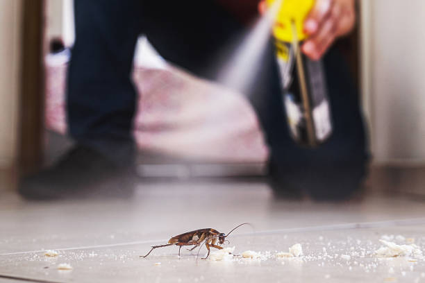 Best Mosquito Control Services  in Winnebago, IL