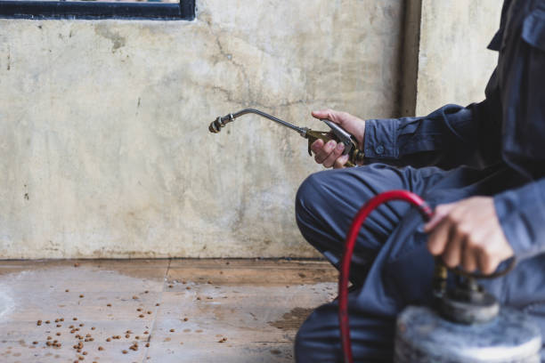 Best Pest Control Treatment  in Winnebago, IL